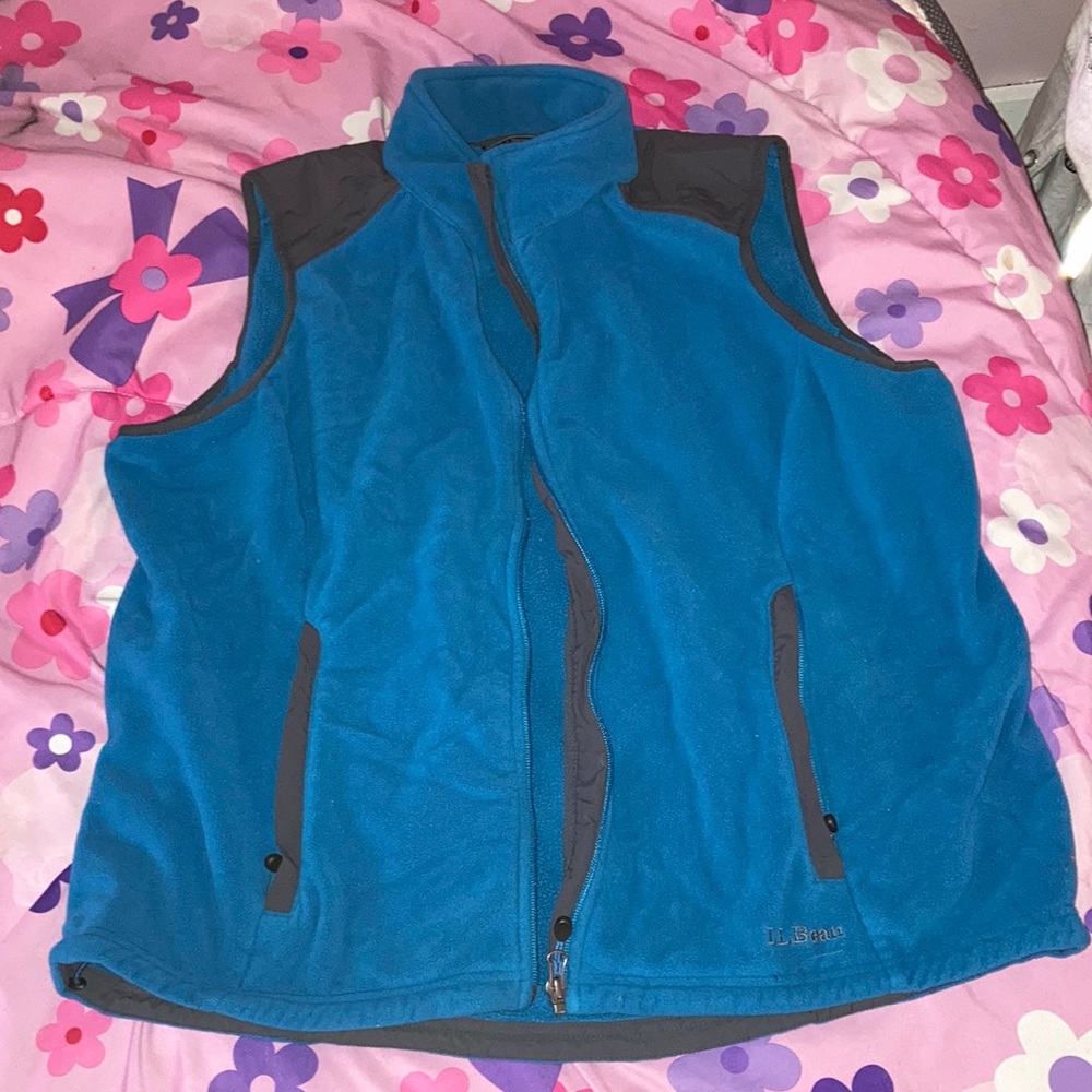 blue fleece vest